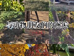 -石家庄市动物园