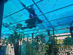 -Le Chalet Dalat