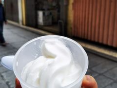 -洪馨椰子
