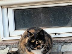 -北马山庄植趣咖啡