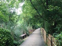 -贵阳市花溪国家城市湿地公园