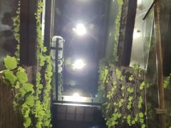 -澳珀食堂