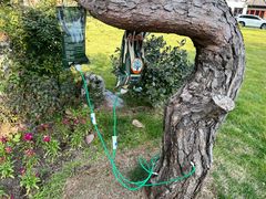 -杭州西湖柳莺里酒店·闻莺厅