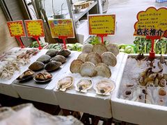 -蚝专家(北滘店)