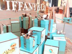 -Tiffany&Co.蒂芙尼(南京德基广场店)