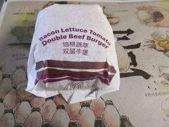 -麦当劳(鄂尔多斯机场店)