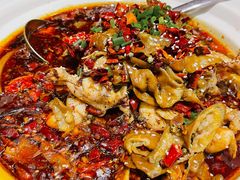 麻辣牛蛙锅-肥肥虾庄·金牌油焖大虾(汉口城市广场店)