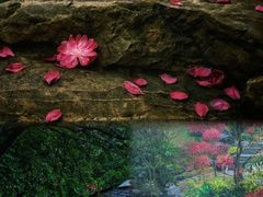 -桃花涧