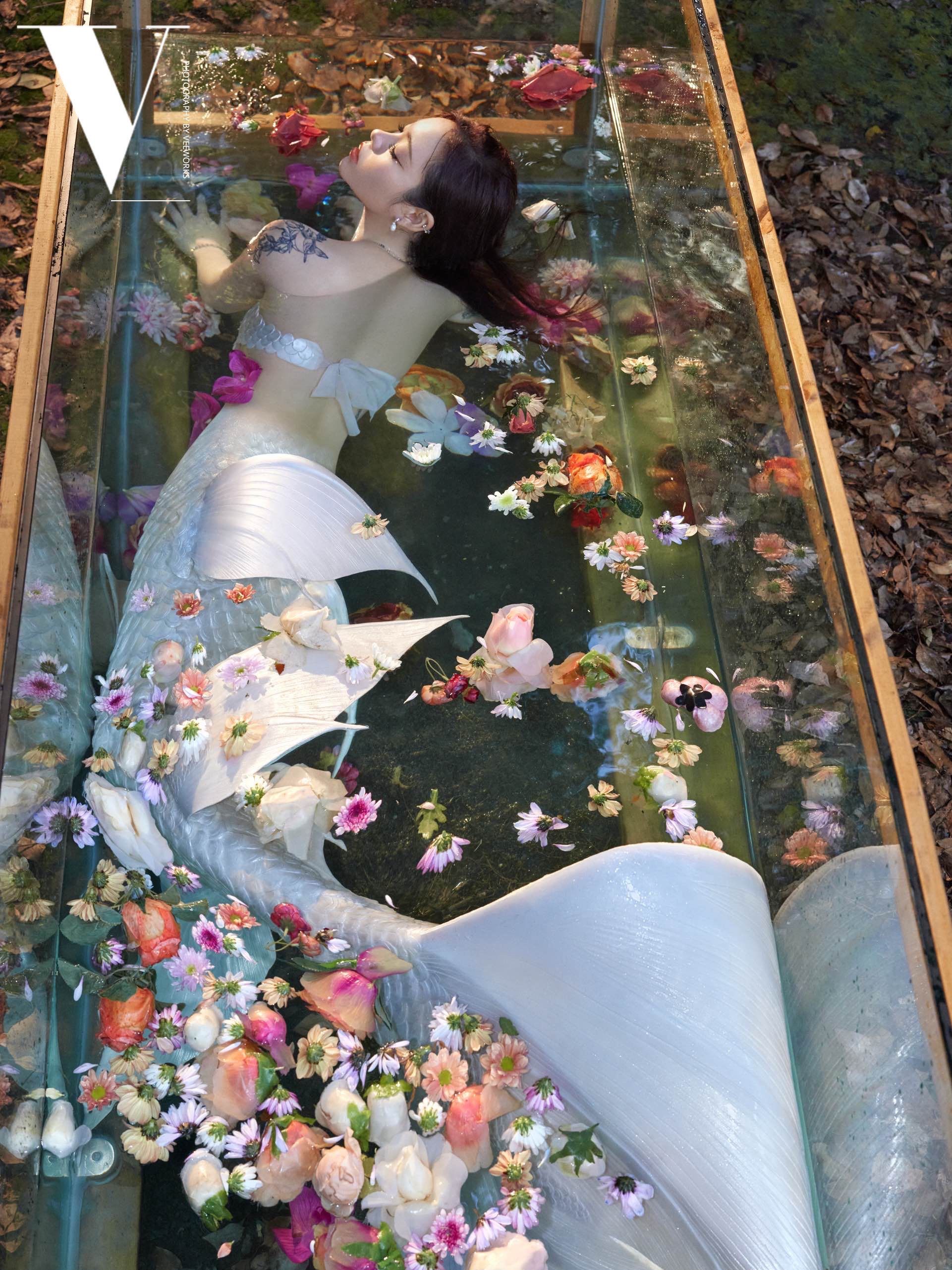 被禁锢的美人鱼🧜‍♀️