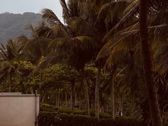 -石梅湾艾美度假酒店