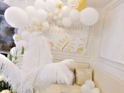 -苏派宝宝生日宴·求婚策划·气球派对布置(园区店)