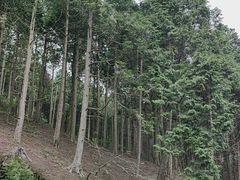 -含鄱口