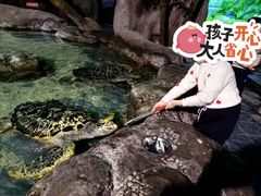 -南昌海洋公园