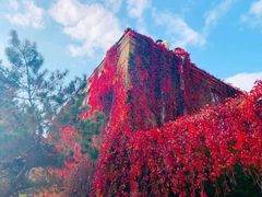 -辽宁大学(崇山校区)