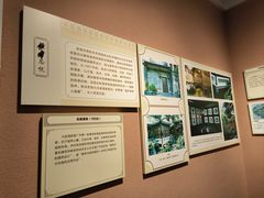 -岭南美术馆