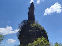 -王莽岭风景区