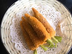 -丁老爷子苏香圆