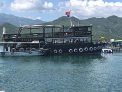 -珊瑚岛