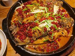 -老板恋上鱼(高新万达店)
