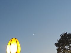 -杭州西子湖四季酒店-WL BISTRO西湖餐厅(灵隐路店)