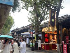 -小龙翻大江文化火锅(宽窄店)