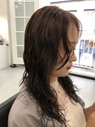 -T8 SALON