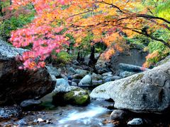 景点-本溪老边沟风景区