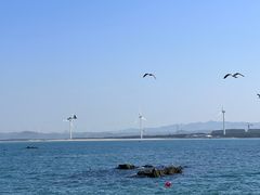 -悦海公园