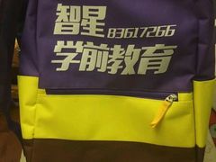 -智星少年学校·幼小衔接·精品托管