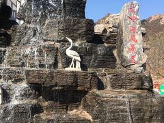 -大岭沟猕猴桃谷风景区