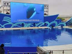-上海海昌海洋公园