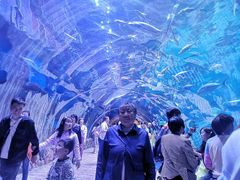 -华夏文旅海洋公园