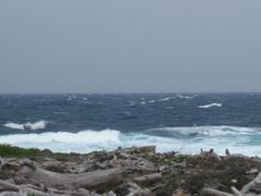 -龙坑生态保护区