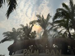 -西双版纳原始森林公园