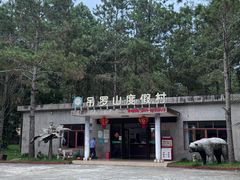-海南热带雨林国家公园吊罗山景区