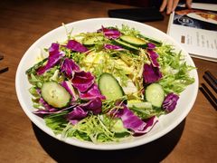 大拌菜-向川南·水煮鱼·川菜(和平里店)