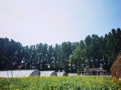 -歆和农庄·烤全羊