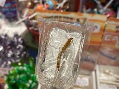 -皇后镇绝妙糖果店(皇后镇店)