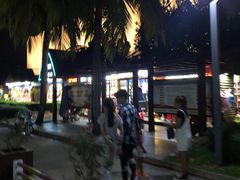 -万绿园