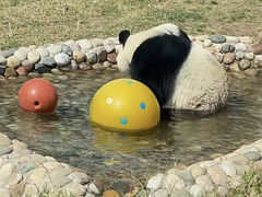 -临沂动植物园