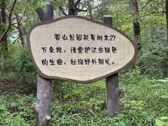 -香山公园