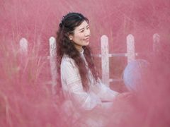 -嘉北郊野公园