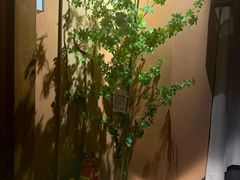 -泰·菩提树下[泰式按摩x精油SPAx肩颈头疗](新景店)