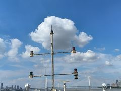 -武汉知音号