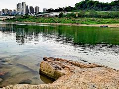 -金海湾滨江公园