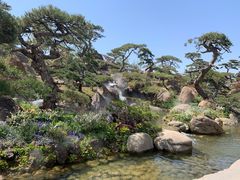 -罗红摄影艺术馆