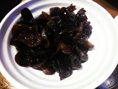 养生小木耳-老佛爷蛙锅•鲜蛙煲(麦凯乐店)