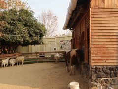 -HERRE·FARM 赫尔露营农场·团建聚会包场