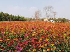 -同里国家湿地公园