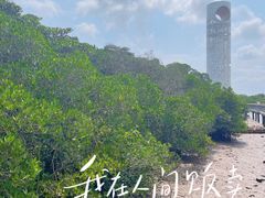 -东寨港红树林旅游区